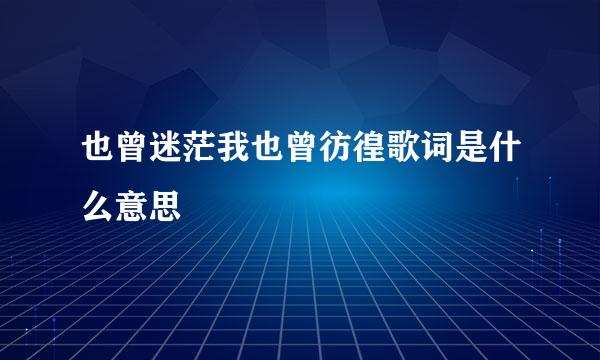 也曾迷茫我也曾彷徨歌词是什么意思
