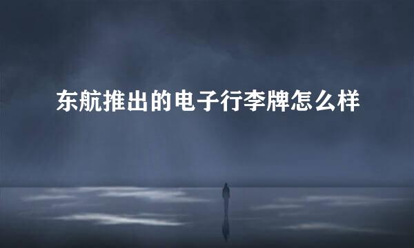 东航推出的电子行李牌怎么样