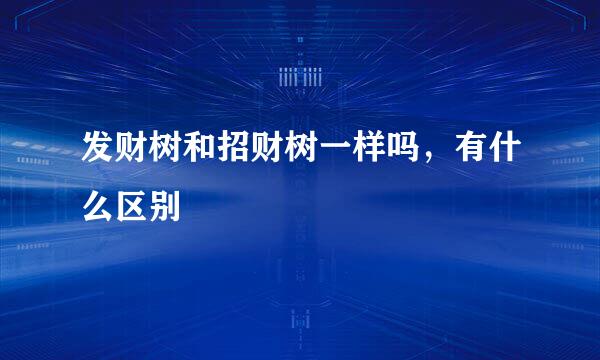 发财树和招财树一样吗，有什么区别