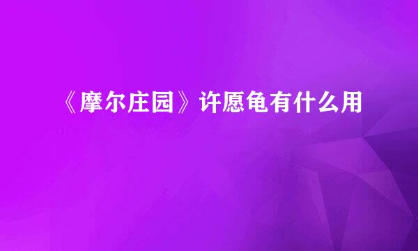 《摩尔庄园》许愿龟有什么用