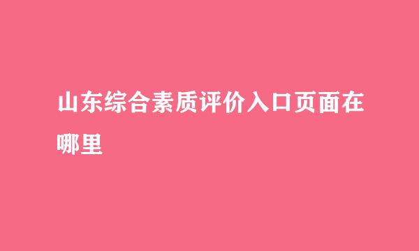 山东综合素质评价入口页面在哪里
