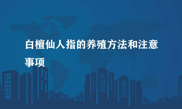 白檀仙人指的养殖方法和注意事项