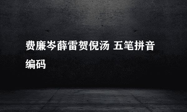 费廉岑薛雷贺倪汤 五笔拼音编码