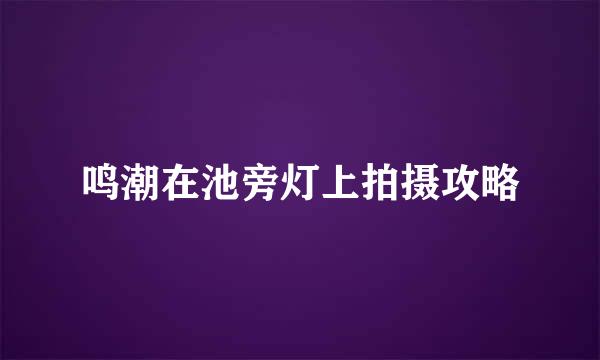 鸣潮在池旁灯上拍摄攻略