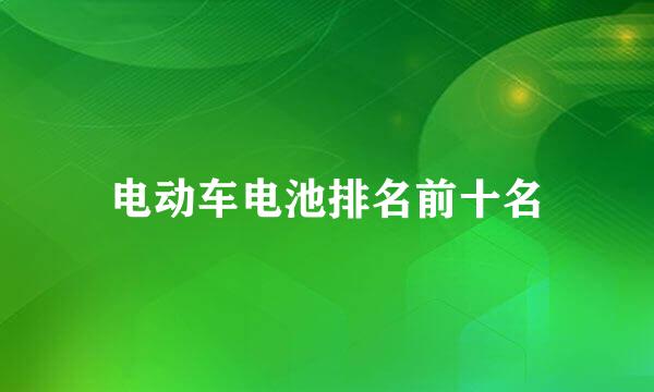 电动车电池排名前十名