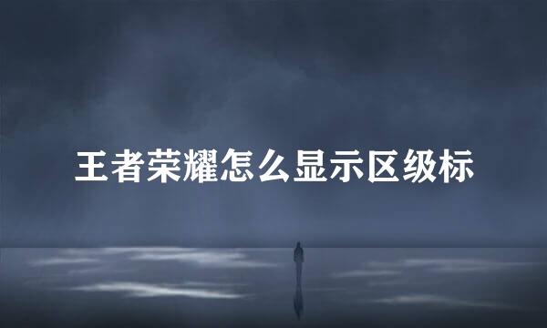 王者荣耀怎么显示区级标