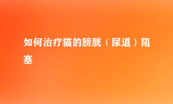 如何治疗猫的膀胱（尿道）阻塞
