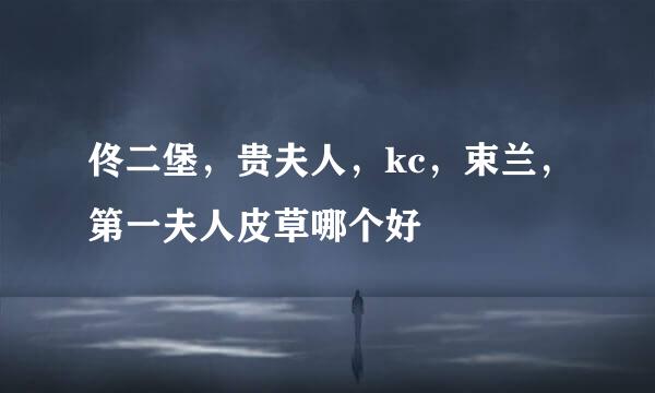 佟二堡，贵夫人，kc，束兰，第一夫人皮草哪个好