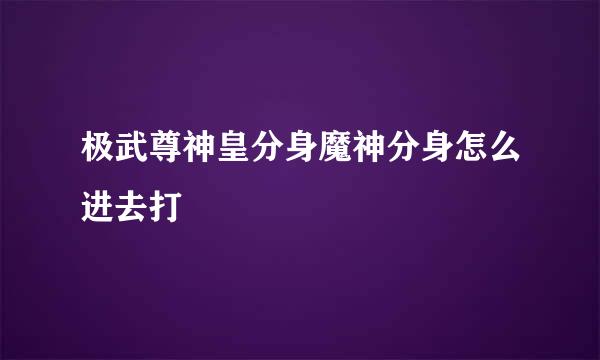极武尊神皇分身魔神分身怎么进去打