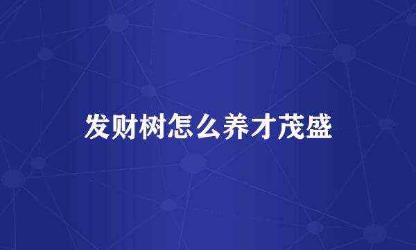 发财树怎么养才茂盛
