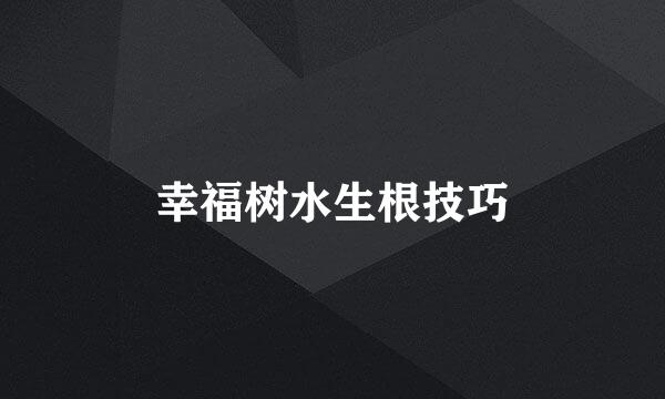 幸福树水生根技巧