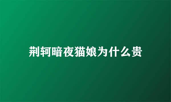荆轲暗夜猫娘为什么贵