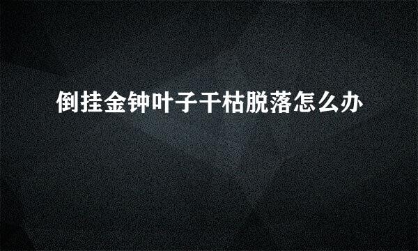 倒挂金钟叶子干枯脱落怎么办