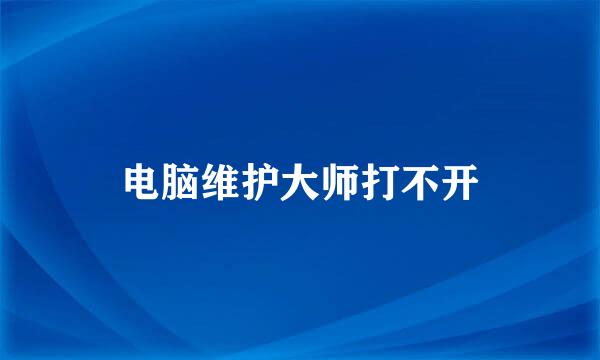 电脑维护大师打不开