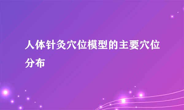 人体针灸穴位模型的主要穴位分布
