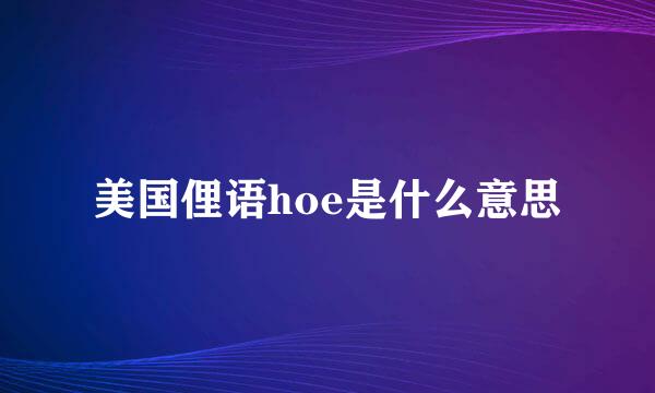 美国俚语hoe是什么意思