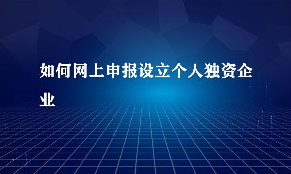 如何网上申报设立个人独资企业