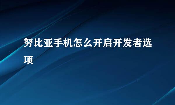努比亚手机怎么开启开发者选项