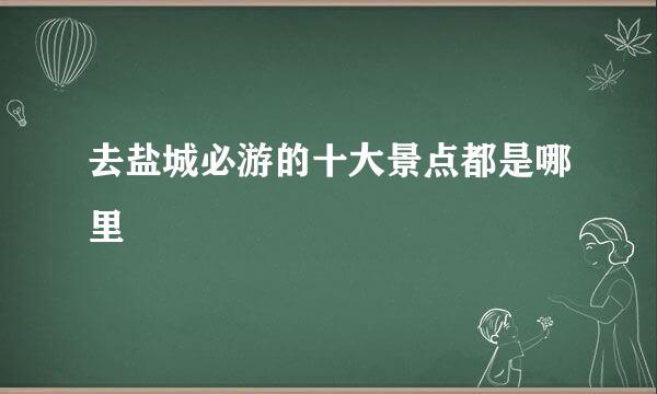 去盐城必游的十大景点都是哪里
