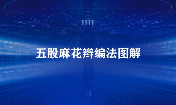 五股麻花辫编法图解