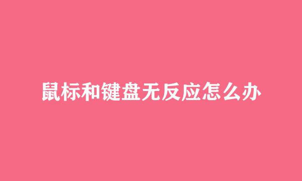 鼠标和键盘无反应怎么办
