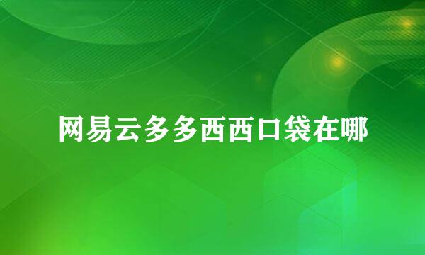 网易云多多西西口袋在哪