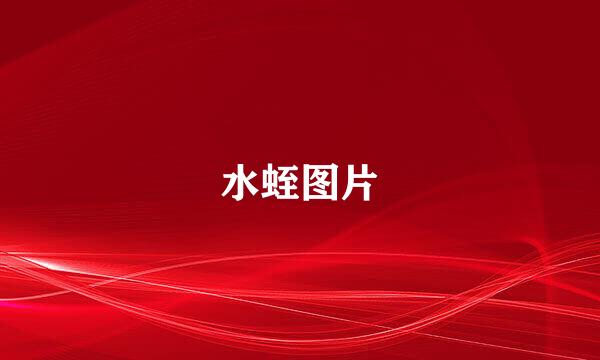 水蛭图片