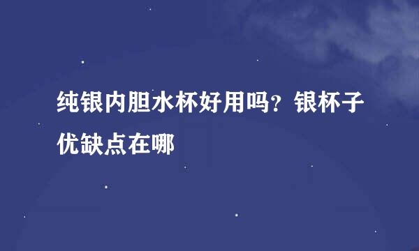 纯银内胆水杯好用吗？银杯子优缺点在哪