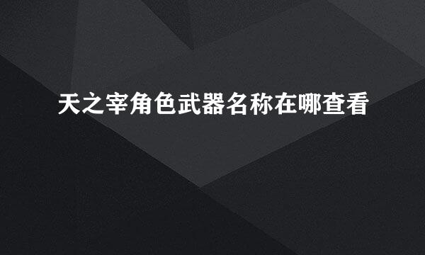 天之宰角色武器名称在哪查看