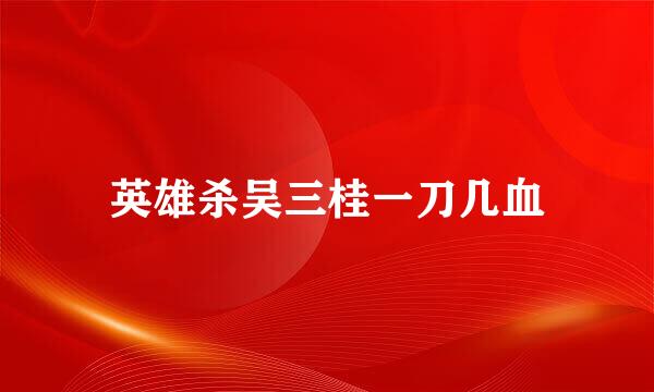 英雄杀吴三桂一刀几血