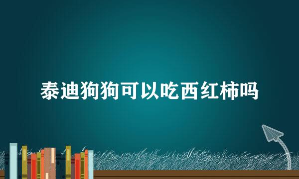泰迪狗狗可以吃西红柿吗