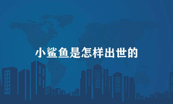 小鲨鱼是怎样出世的