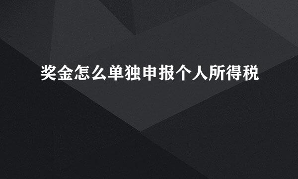 奖金怎么单独申报个人所得税