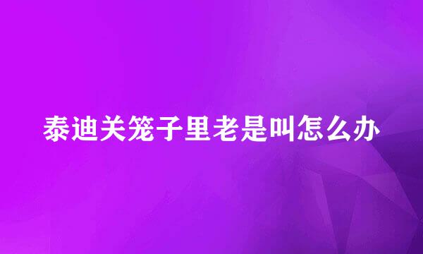 泰迪关笼子里老是叫怎么办