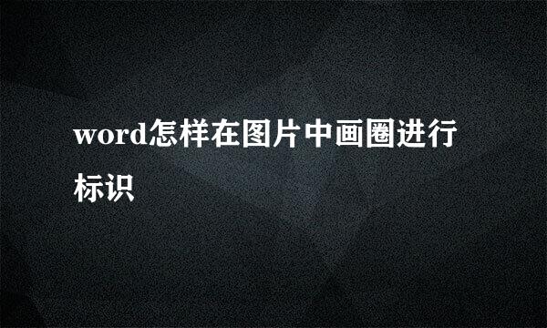 word怎样在图片中画圈进行标识