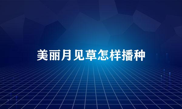 美丽月见草怎样播种