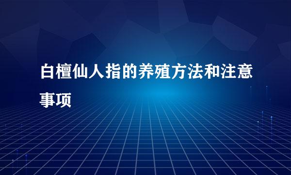 白檀仙人指的养殖方法和注意事项