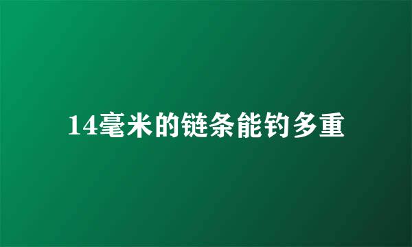 14毫米的链条能钓多重