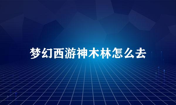 梦幻西游神木林怎么去