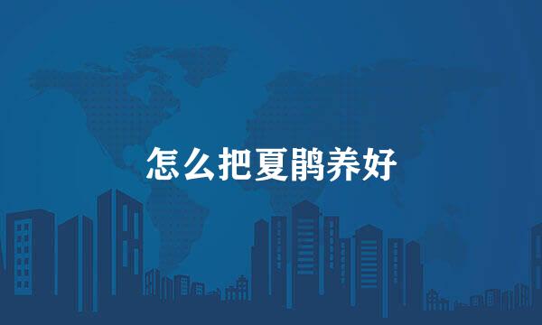 怎么把夏鹃养好