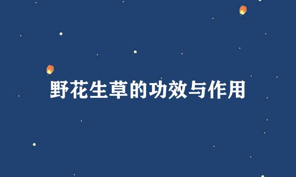 野花生草的功效与作用