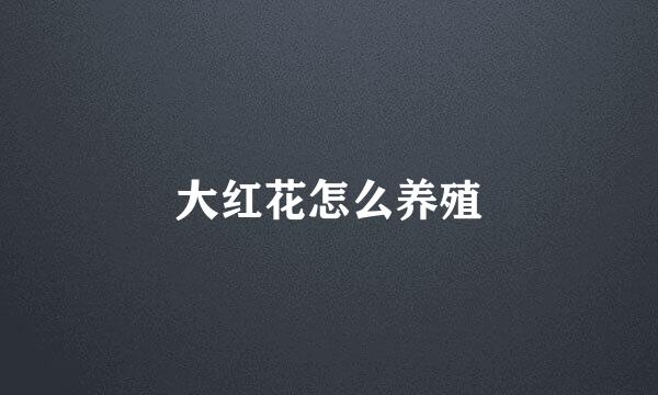 大红花怎么养殖