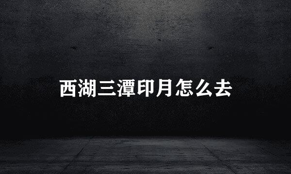 西湖三潭印月怎么去