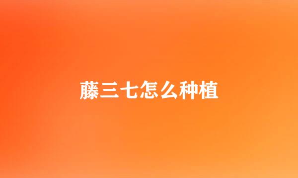 藤三七怎么种植