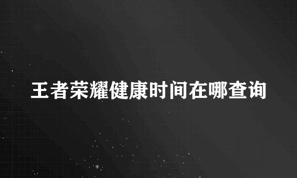 王者荣耀健康时间在哪查询