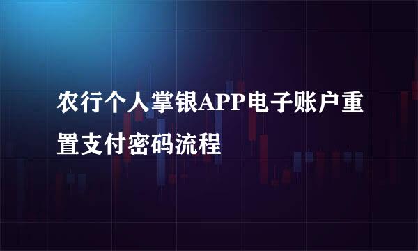 农行个人掌银APP电子账户重置支付密码流程