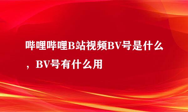 哔哩哔哩B站视频BV号是什么,BV号有什么用