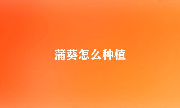 蒲葵怎么种植
