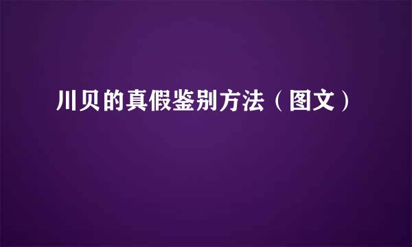 川贝的真假鉴别方法（图文）