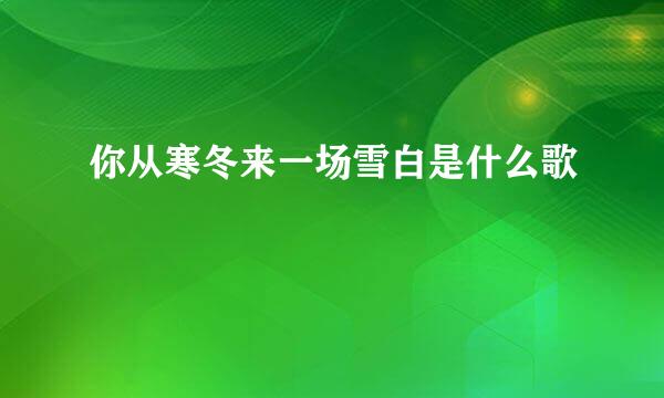 你从寒冬来一场雪白是什么歌